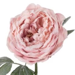 New 🛒 Light Pink Snowy Peony Stem by Ashland® 🧨 -Ashland Sales 10701015 2