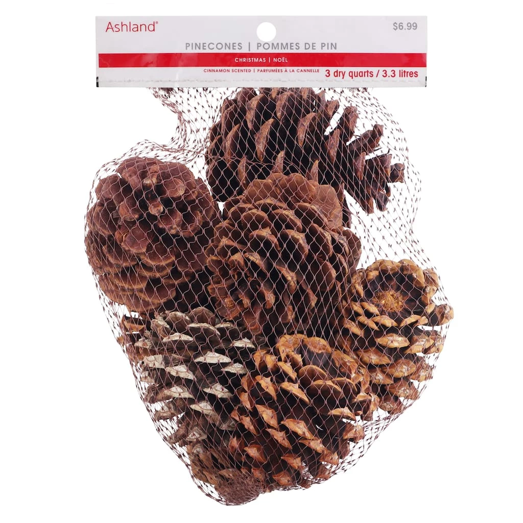 Discount ❤️ Cinnamon Scented Pinecones by Ashland® 😍 3 Discount ❤️ Cinnamon Scented Pinecones by Ashland® 😍