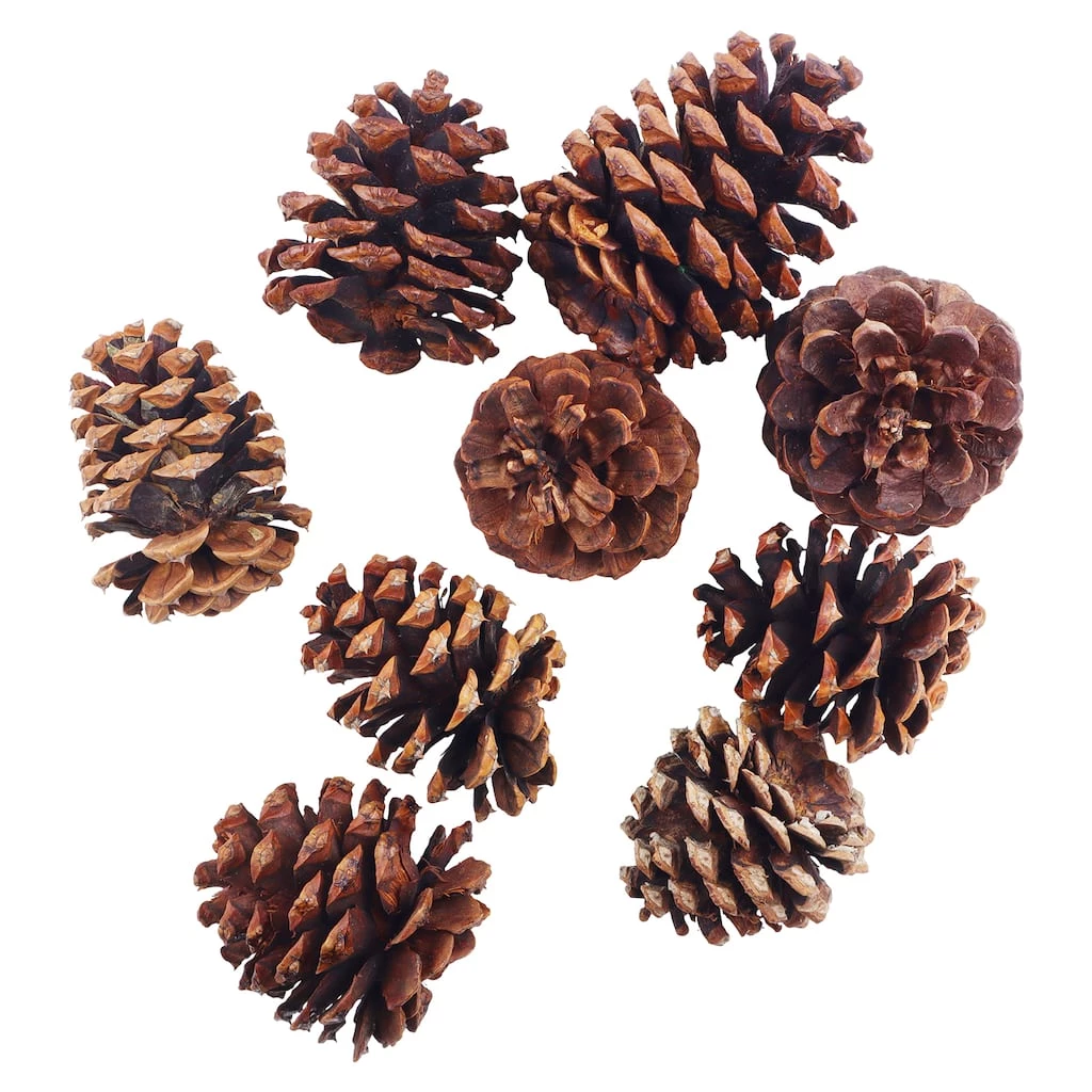 Discount ❤️ Cinnamon Scented Pinecones by Ashland® 😍 4 Discount ❤️ Cinnamon Scented Pinecones by Ashland® 😍 - Image 2