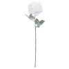 Cheap ✨ Snow Covered White Rose Stem by Ashland® 🛒 -Ashland Sales 10701034 1