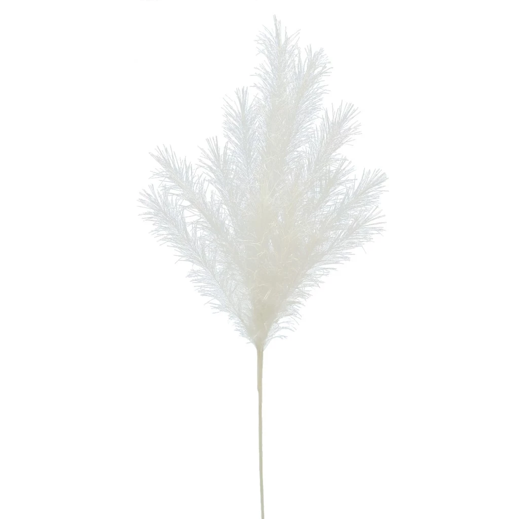 Best deal ✨ White Pampas Branch Stem by Ashland® ⭐ 5 Best deal ✨ White Pampas Branch Stem by Ashland® ⭐ - Image 3