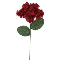 Best Sale 🎁 Iced Red Wild Hydrangea Stem by Ashland® 🛒