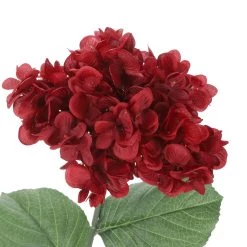 Best Sale 🎁 Iced Red Wild Hydrangea Stem by Ashland® 🛒 -Ashland Sales 10701046 3