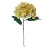 Coupon 🔥 Gold Metallic Hydrangea Stem by Ashland® 🧨