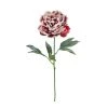 Cheap ⌛ Snowy Red Peony Stem by Ashland® 🔔 -Ashland Sales 10701053 1