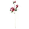 Best reviews of 😀 Red Snow Covered Garden Rose Stem by Ashland® 🥰 1 Best reviews of 😀 Red Snow Covered Garden Rose Stem by Ashland® 🥰 -Ashland Sales 10701057 1