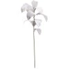 Cheap 🥰 White Velvet Magnolia Leaves Stem by Ashland® ❤️ -Ashland Sales 10701059 1