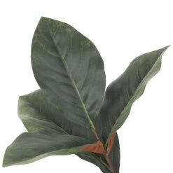 Best Pirce 😉 Dark Green Magnolia Leaf Stem by Ashland® 👍 -Ashland Sales 10701060 3