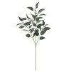 Best reviews of 🤩 Dark Green Iced Eucalyptus Leaf Stem by Ashland® 👍 1 Best reviews of 🤩 Dark Green Iced Eucalyptus Leaf Stem by Ashland® 👍 -Ashland Sales 10701061 1