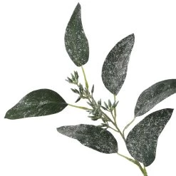 Best reviews of 🤩 Dark Green Iced Eucalyptus Leaf Stem by Ashland® 👍 -Ashland Sales 10701061 3