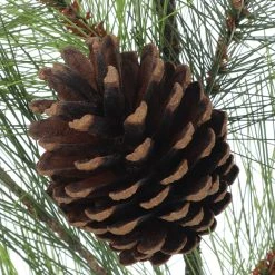 Flash Sale 🛒 Pine Leaf & Pinecone Spray Stem by Ashland® 😀 6 Flash Sale 🛒 Pine Leaf & Pinecone Spray Stem by Ashland® 😀 -Ashland Sales 10701275 2
