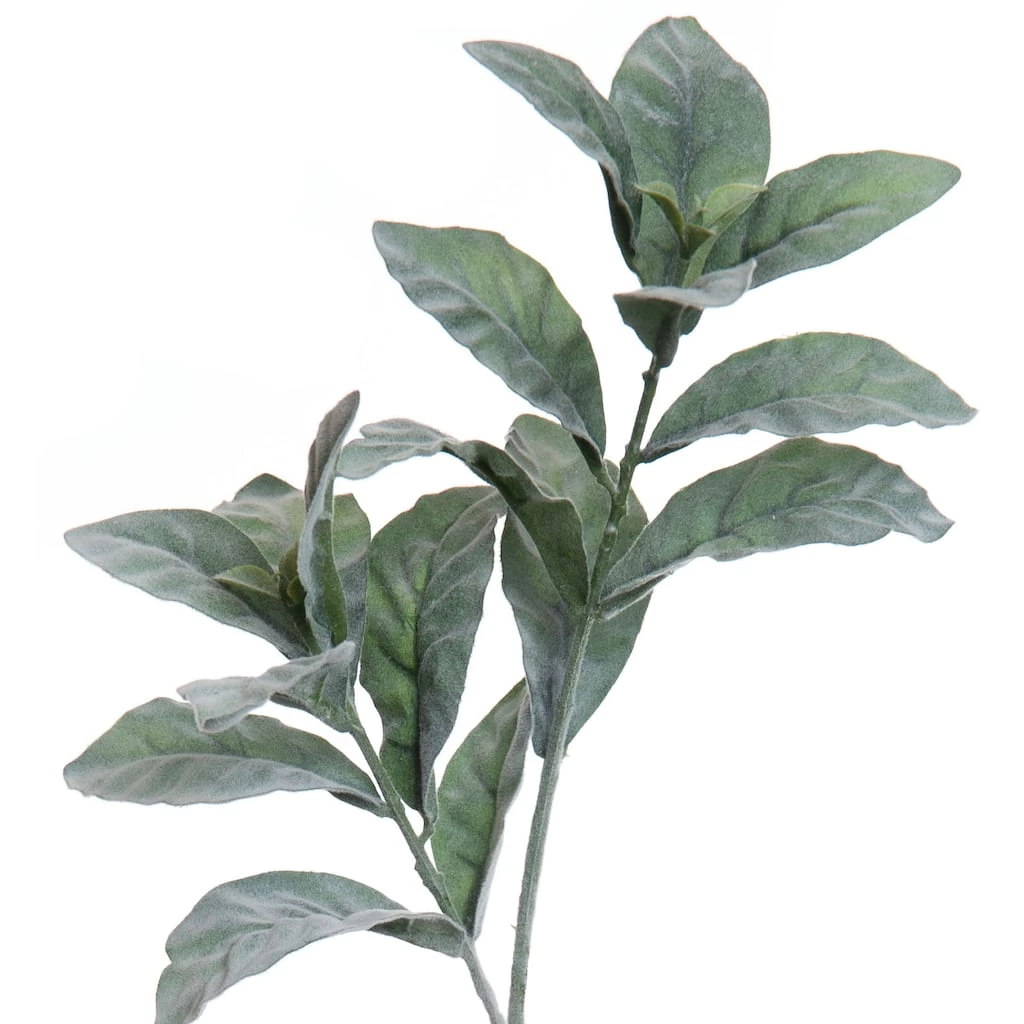 New 😍 Lamb's Ear Stem by Ashland® ⭐ 4 New 😍 Lamb's Ear Stem by Ashland® ⭐ - Image 2