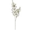 Hot Sale 🛒 Glittery Champagne Eucalyptus Stem by Ashland® 👍 -Ashland Sales 10701303 1