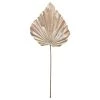 Deals 🛒 Champagne Palm Leaf Stem by Ashland® 🎁 -Ashland Sales 10701306 1