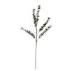 Buy ⭐ Snowy Eucalyptus Stem by Ashland® 🌟 -Ashland Sales 10701309 1