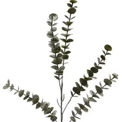 Buy ⭐ Snowy Eucalyptus Stem by Ashland® 🌟 -Ashland Sales 10701309 2
