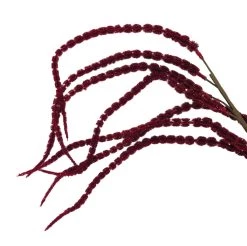 Deals 🤩 Red Amaranthus Stem by Ashland® 🥰 -Ashland Sales 10701321 2