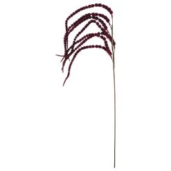 Deals 🤩 Red Amaranthus Stem by Ashland® 🥰 -Ashland Sales 10701321 3