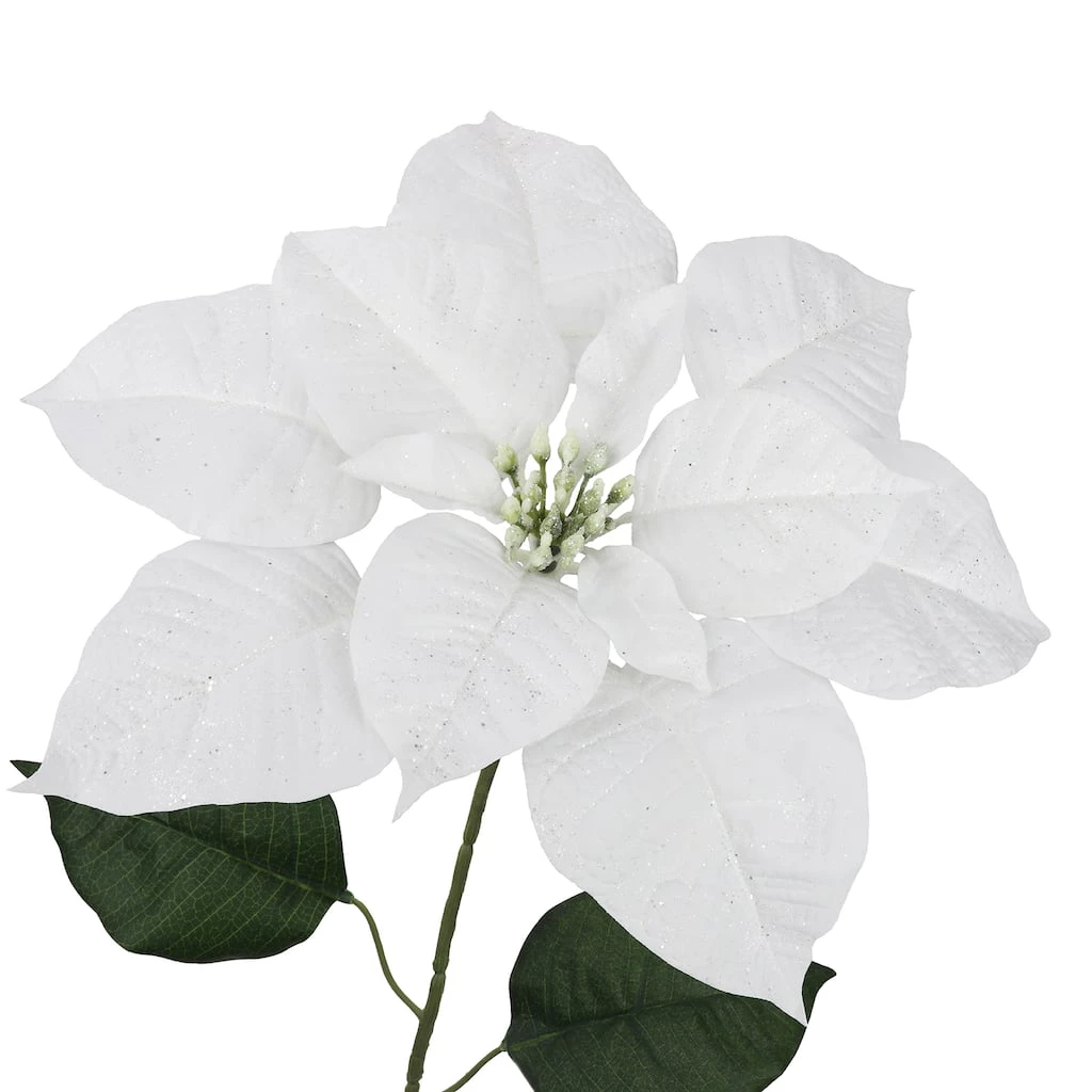 Hot Sale 😉 Glittery White Poinsettia Stem by Ashland® 💯 5 Hot Sale 😉 Glittery White Poinsettia Stem by Ashland® 💯 - Image 3