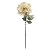 Flash Sale ❤️ Cream Peony Stem by Ashland® 👍 -Ashland Sales 10701334 1