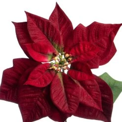 Cheap 🔥 Dark Red Poinsettia Stem by Ashland® 🔔 -Ashland Sales 10701338 2