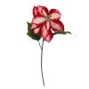 Cheapest 🎉 Red & White Poinsettia Stem by Ashland® 🎁 2 Cheapest 🎉 Red & White Poinsettia Stem by Ashland® 🎁 -Ashland Sales 10701339 1