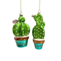 Best Pirce ๐ฅ Assorted Glass Cactus Ornament by Ashland® โค๏ธ 7 Best Pirce ๐ฅ Assorted Glass Cactus Ornament by Ashland® โค๏ธ -Ashland Sales 10701874 3