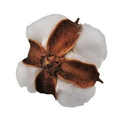 Promo 🥰 Cotton Pod Filler by Ashland® 😀 -Ashland Sales 10702008 4