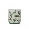 Best reviews of 😍 5" Small Holly Berry Ceramic Pot by Ashland® 👏