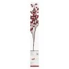 Best reviews of 🔥 Red Berries Twig With 16 Lights by Ashland® 🎉 -Ashland Sales 10702492 1