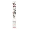 Wholesale 🔔 Red Berries & Leaves Twig With 16 Lights by Ashland® ✨ -Ashland Sales 10702495 1