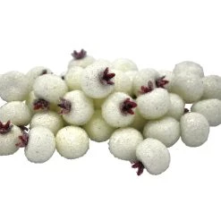 Wholesale 😉 White Sugared Berries by Ashland® 🔔