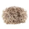 Cheap 💯 Natural Spanish Moss by Ashland® 👏 1 Cheap 💯 Natural Spanish Moss by Ashland® 👏 -Ashland Sales 10703334 2