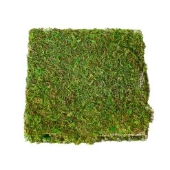 Promo ✨ Green Glitter Moss Mat by Ashland® 😍 -Ashland Sales 10703337 2
