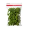 Buy ✔️ Green Reindeer Moss by Ashland® 🤩 -Ashland Sales 10703339 1