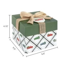 Best Pirce 😉 Small Plaid Gift Box by Ashland® 🥰 -Ashland Sales 10703636 3