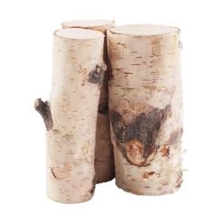 Cheap 🥰 Assorted Birch Log Bundle by Ashland® 🎁 -Ashland Sales 10703680 2