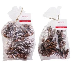 Brand new 🧨 Assorted Pinecone Mix by Ashland® ⌛
