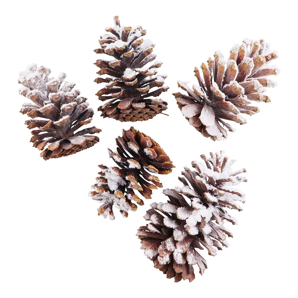 Brand new 𧨠Assorted Pinecone Mix by Ashland® β 4 Brand new 𧨠Assorted Pinecone Mix by Ashland® β - Image 2