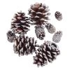 Promo ✔️ Brown & Silver Glitter Pinecones by Ashland® 🌟 -Ashland Sales 10703687 2