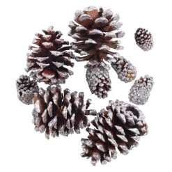 Promo ✔️ Brown & Silver Glitter Pinecones by Ashland® 🌟