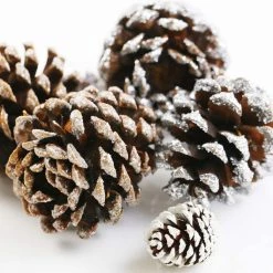 Best Sale 🌟 Snow Dusted Pinecones by Ashland® 🎉 -Ashland Sales 10703688 3