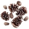 Best Sale 😀 Brown & Gold Glitter Pinecones by Ashland® 🎁 -Ashland Sales 10703689 2