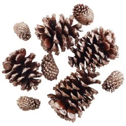 Best Sale 😀 Brown & Gold Glitter Pinecones by Ashland® 🎁
