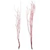 Best Sale 🎁 Assorted Red Birch Branch by Ashland® ⭐ 1 Best Sale 🎁 Assorted Red Birch Branch by Ashland® ⭐ -Ashland Sales 10703836 1