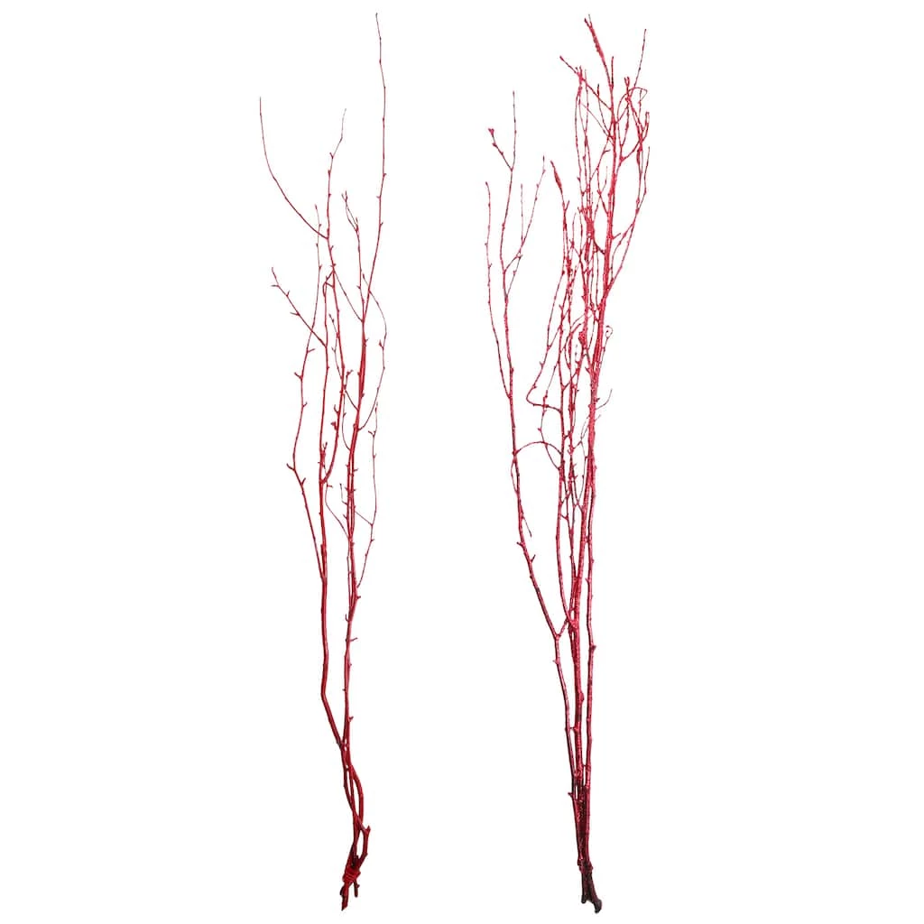 Best Sale π Assorted Red Birch Branch by Ashland® β 3 Best Sale π Assorted Red Birch Branch by Ashland® β