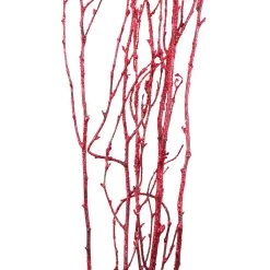 Best Sale π Assorted Red Birch Branch by Ashland® β 5 Best Sale π Assorted Red Birch Branch by Ashland® β -Ashland Sales 10703836 2