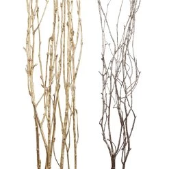 Coupon 🥰 Assorted Gold Birch Branch by Ashland® 🥰 -Ashland Sales 10703839 2