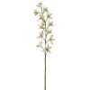 Deals 👏 8 Pack: Cream Boat Orchid Stem by Ashland® 😍 -Ashland Sales 230929