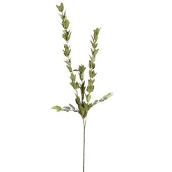 Hot Sale 🤩 12 Pack: Green Huckleberry Leaf Spray by Ashland® ⭐